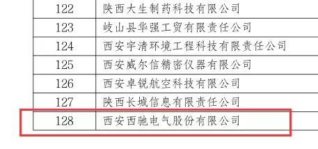 喜訊|西馳電氣榮獲國家級專精特新“小巨人”企業(yè)(圖2)